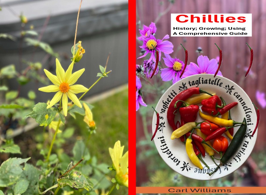 Chillies - History; Growing; Using - A Comprehensive Guide